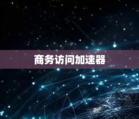 商务访问加速器