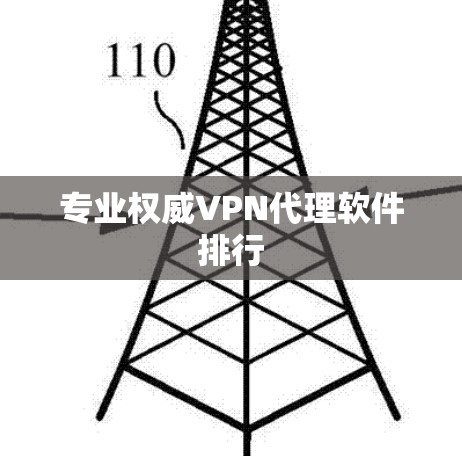 专业权威VPN代理软件排行