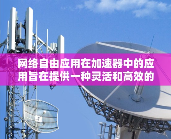 网络自由应用在加速器中的应用旨在提供一种灵活和高效的服务，允许用户在任何设备上运行应用，从而提升应用性能和用户体验。以下是对这一概念的详细分析和总结