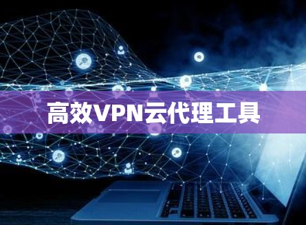 高效VPN云代理工具