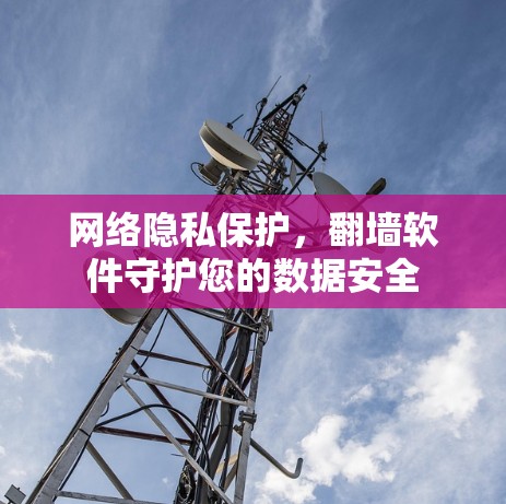网络隐私保护，翻墙软件守护您的数据安全