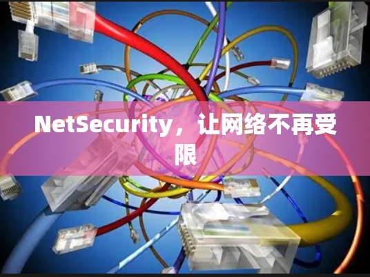 NetSecurity，让网络不再受限