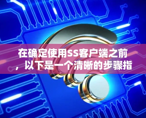 在确定使用SS客户端之前，以下是一个清晰的步骤指南