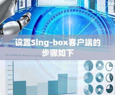 设置Sing-box客户端的步骤如下