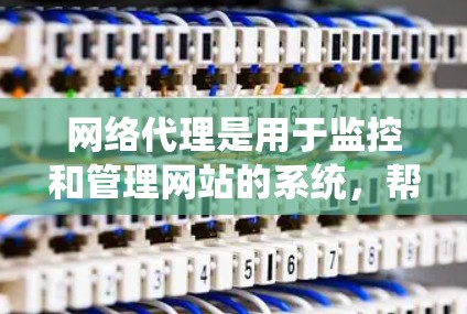网络代理是用于监控和管理网站的系统，帮助管理员优化网站性能、保障安全和提高用户体验。以下是对网络代理使用方法的详细总结
