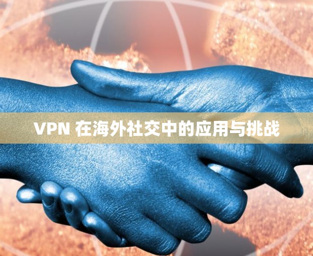VPN 在海外社交中的应用与挑战
