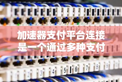 加速器支付平台连接是一个通过多种支付方式实现快速转账和支付的平台。以下是对加速器支付平台连接的详细说明