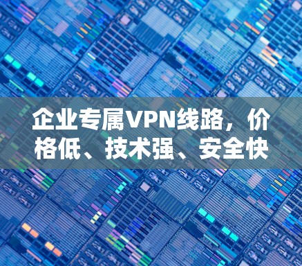 企业专属VPN线路，价格低、技术强、安全快