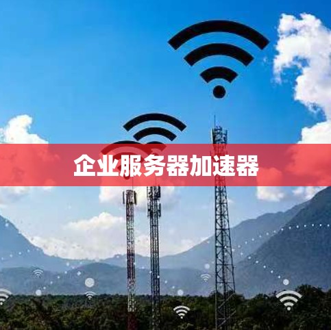 企业服务器加速器