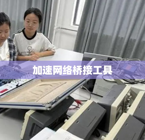 加速网络桥接工具