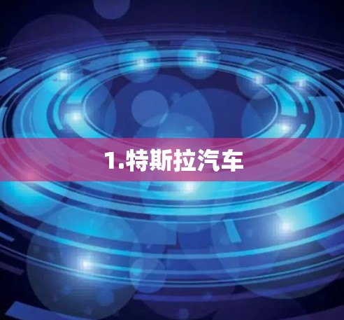 1.特斯拉汽车
