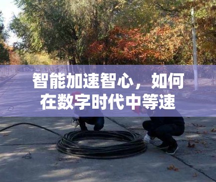 智能加速智心，如何在数字时代中等速
