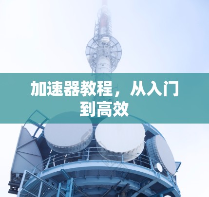 加速器教程，从入门到高效