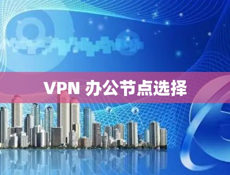 VPN 办公节点选择