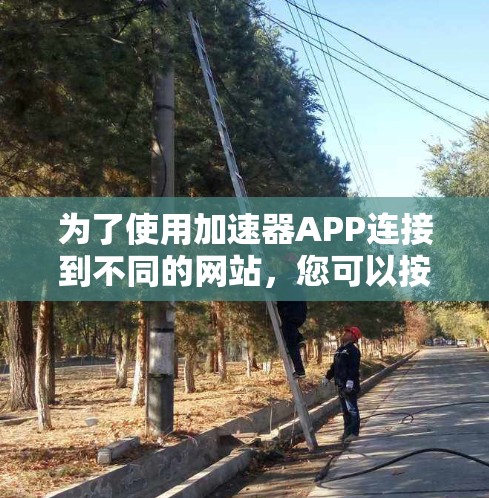 为了使用加速器APP连接到不同的网站，您可以按照以下步骤操作