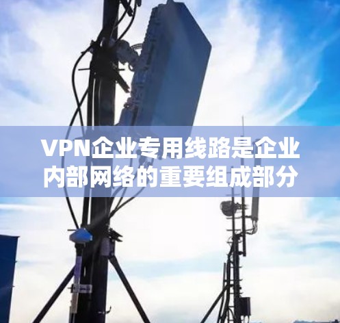 VPN企业专用线路是企业内部网络的重要组成部分，用于提供私有网络支持，满足企业内部的视频会议、数据传输等需求。以下是对这些专用线路的详细分析
