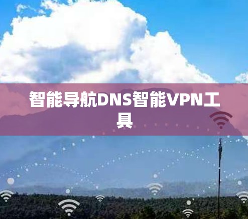 智能导航DNS智能VPN工具