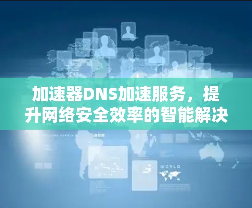 加速器DNS加速服务，提升网络安全效率的智能解决方案