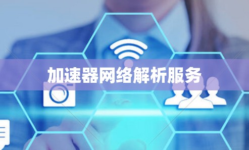 加速器网络解析服务
