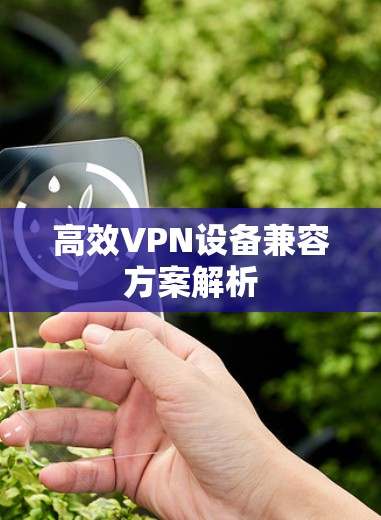 高效VPN设备兼容方案解析