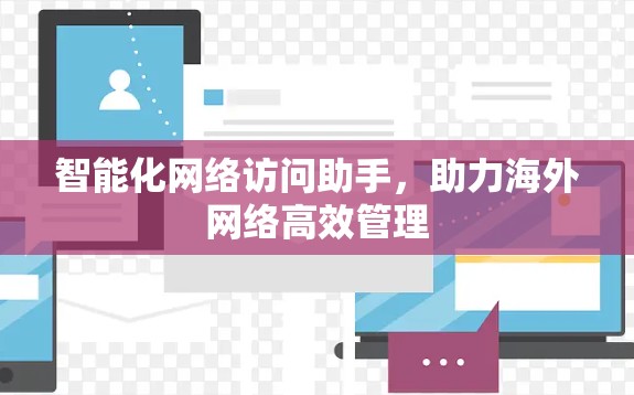 智能化网络访问助手，助力海外网络高效管理