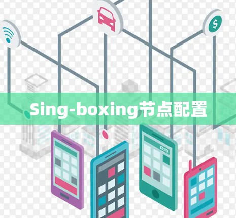 Sing-boxing节点配置