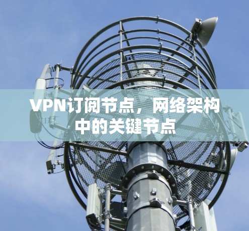 VPN订阅节点，网络架构中的关键节点