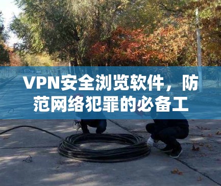 VPN安全浏览软件，防范网络犯罪的必备工具