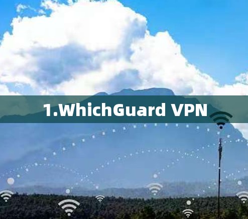 1.WhichGuard VPN