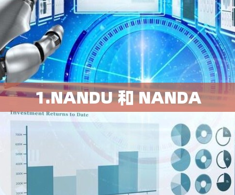 1.NANDU 和 NANDA