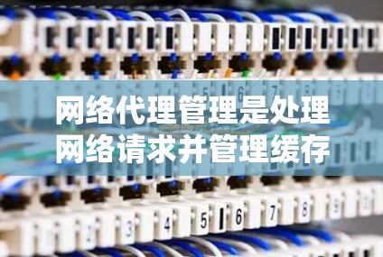 网络代理管理是处理网络请求并管理缓存的系统,通常涉及自动化的加速器服务器。以下是对这一主题的详细总结 网络代理管理是处理网络请求并管理缓存的系统,通常涉及自动化的加速器服务器。以下是对这一主题的详细总结