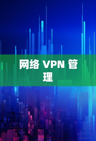 网络 VPN 管理