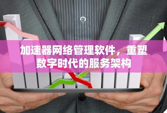 加速器网络管理软件，重塑数字时代的服务架构