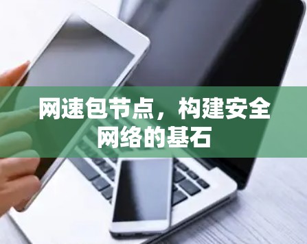 网速包节点，构建安全网络的基石