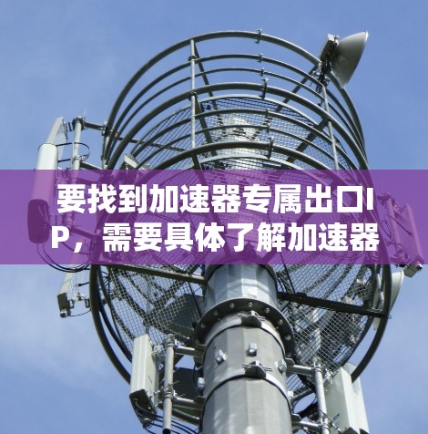 要找到加速器专属出口IP，需要具体了解加速器的用途、技术细节以及在全球市场的定位。以下是一些建议，帮助你找到适合的出口专利