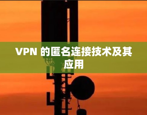 VPN 的匿名连接技术及其应用